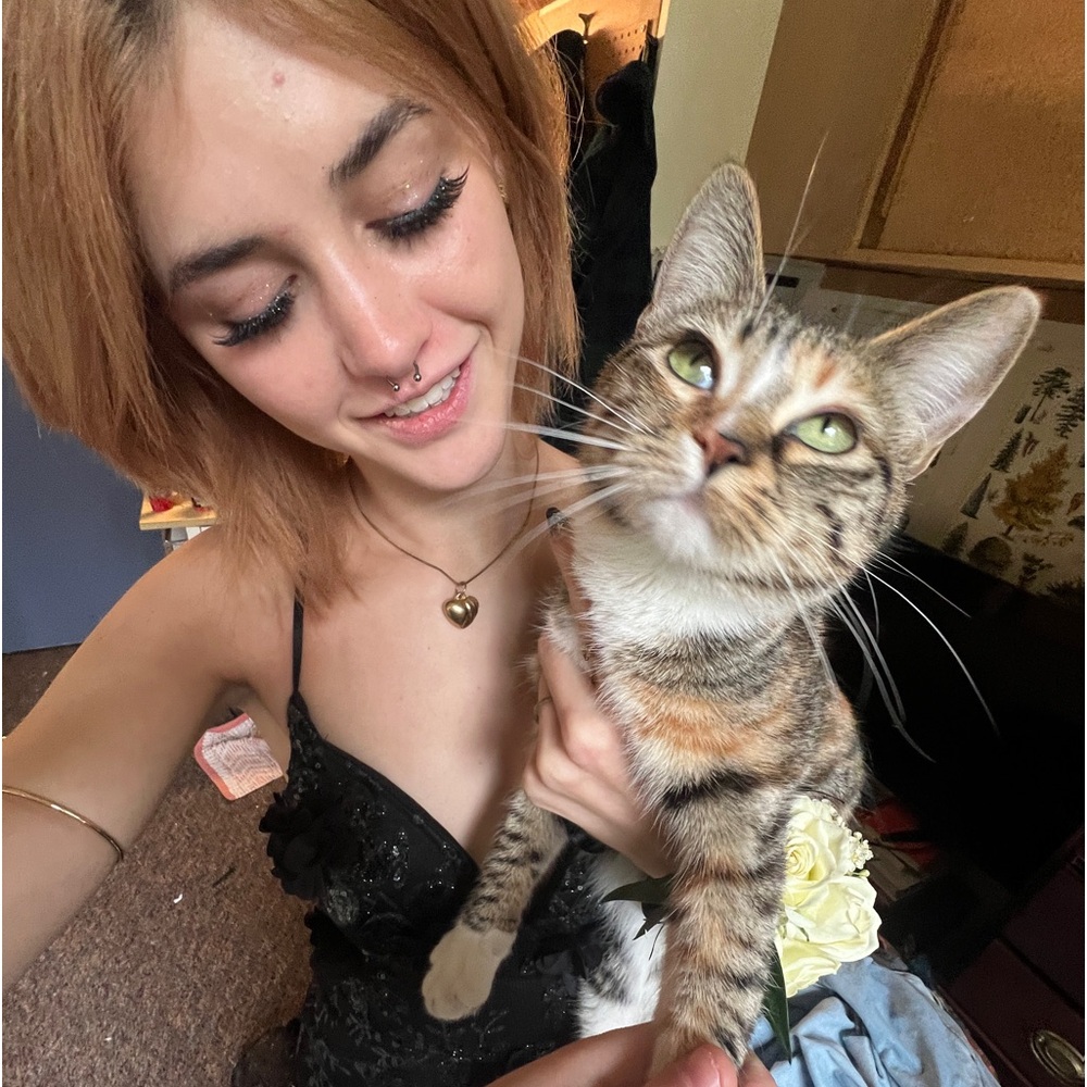 Meet your Posher, Morgan